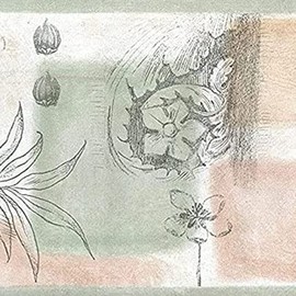 CONCORD WALLCOVERINGS ™ Wallpaper Border Pencil Sketch Art Flowers Leaves for Living Room Cottage Farmhouse Trailer House, Pastel Green Brown Grey, 7 Inches by 15 Feet ZA30122
