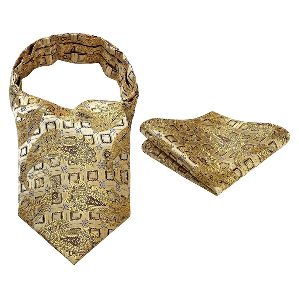 HISDERN RC-04S Men's Silk Neckerchief Set, Wedding, Formal, Business, 12