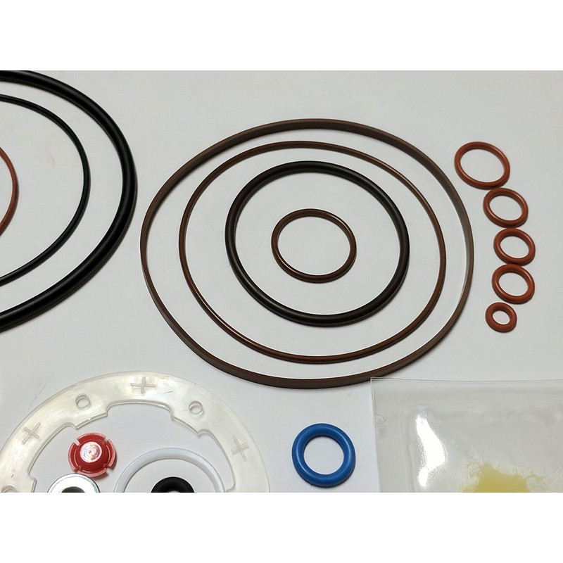 Seal Kit Replaces Roosa Master Stanadyne 33814/24373 for DB2 Diesel