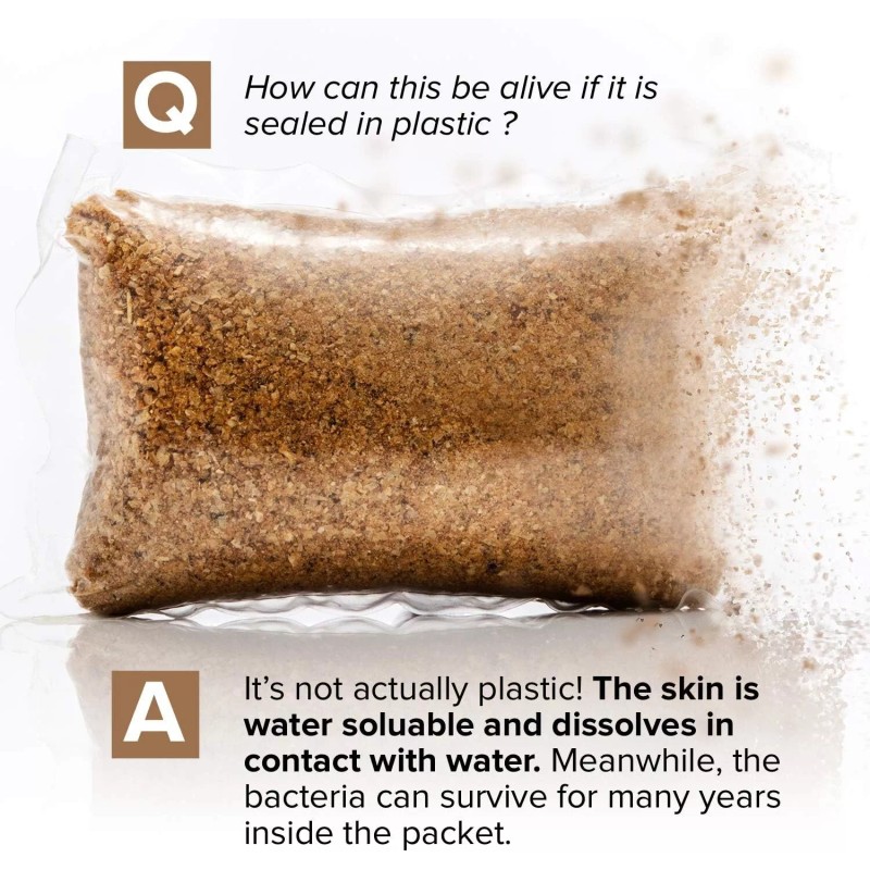 Septic Tank Treatment - 1 Year Supply of Dissolvable Easy