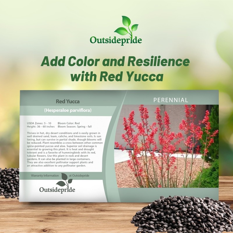 Outsidepride Red Yucca Seeds for Planting - 50 Pcs Drought