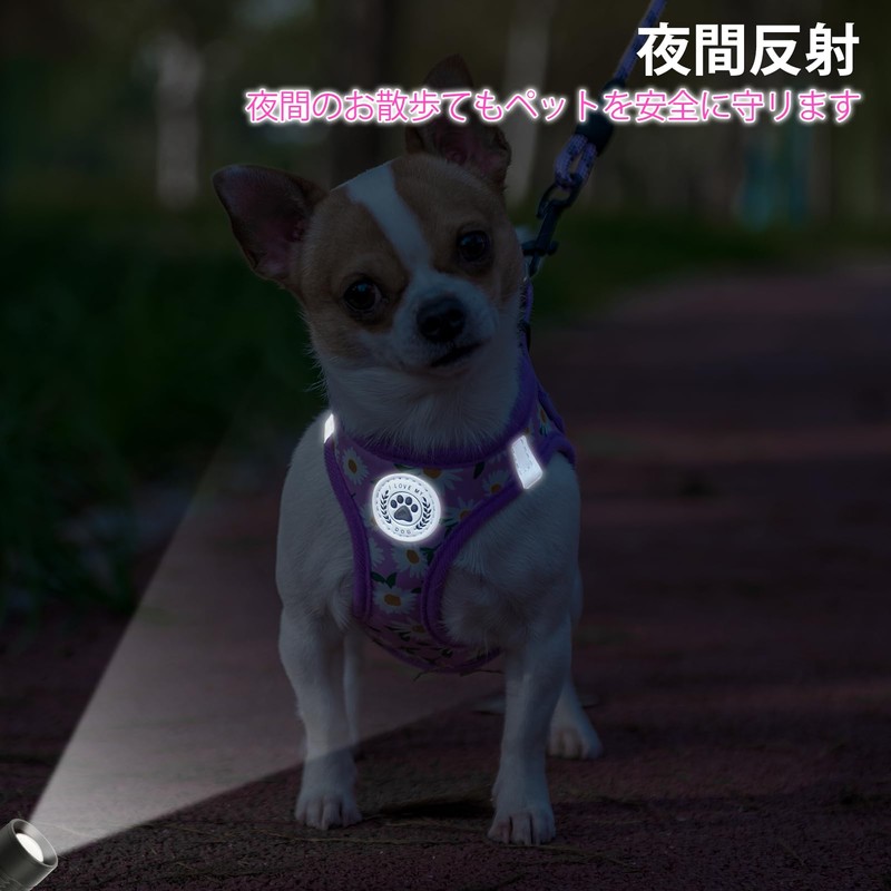 BEAUTYZOO Dog Harness & Leash Set, Slip-Resistant, Body Harness, Pull-Resistant,