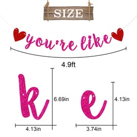 You're Like Really Pretty Banner, Pre-strung Bachelorette Engagement Party Banner, Mean Girls Birthday Party Banner, Mean Girls Party Decorations (Pink Glitter)