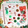 homdat Cat Toy, Pack of 10 Christmas Cat Toy Set