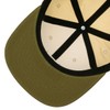 Reell Pitchout Cap, Oatmeal / Olive