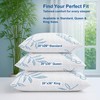 OMEO 2 Pack King Size Rayon Derived from Bamboo Pillow