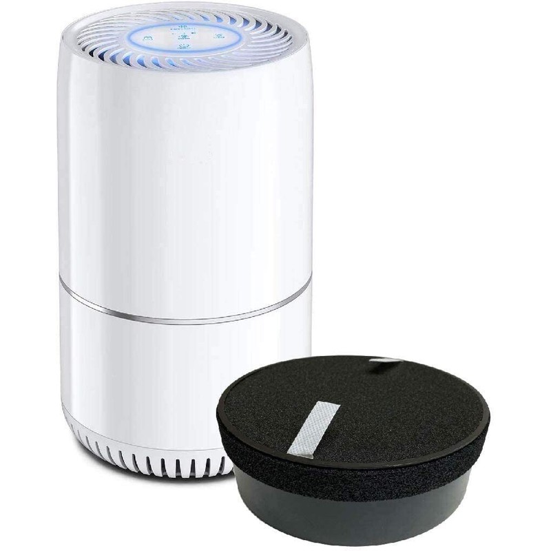 Nispira H13 True HEPA Filter for Homelabs Compact HME020248N Air