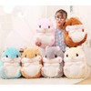 YunNasi Cuddly Plush Stuffed Hamster Pillow with Comfortable Blanket of