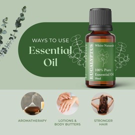 Organic Eucalyptus Essential Oil - 100% Pure & Natural -Premium Therapeutic Grade with Premium Glass Dropper - Undiluted Natural/Homeopathic Aromatherapy Scented, Great for DIY Soap Making, Massage