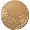 RecoveryChip Engravable 8 Month AA Medallion Large 1.5" Heavy Premium