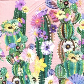 (2) Two Paper Lunch Napkins for Decoupage/Mixe