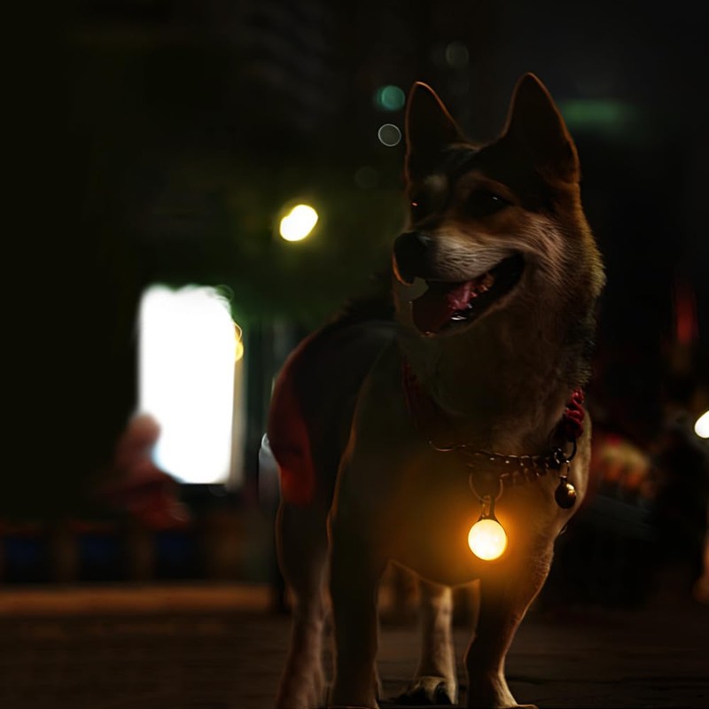 VOANZO 6pcs Dog Safety Light Pendant Clip-On Light with 3