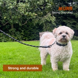 Murr Strong Dog Lead Rope Dog Leash 5ft Reflective Threads with Padded Handle Dog Lead for Large Medium Small Dogs - 1.5m Black