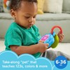 Fisher-Price Laugh & Learn DigiPuppy Pretend Handheld Digital Pet Musical