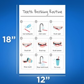 Teeth Brushing Routine Poster - Good Dental Hygiene Instruction - Educational Teeth Brushing - Bathroom Dentist Office - 12 x 18 Inch Poster - Unframed - Premium 100lb Gloss - Made In USA - BMCP0513