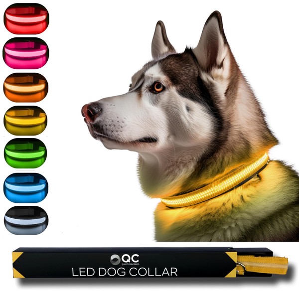 QC LED Light Up Dog Collar - Bright, Reflective, and