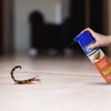 TERRO Scorpion Killer Aerosol Spray T2101