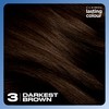 Clairol Lasting Colour Permanent Hair Dye | Perfect Grey Coverage