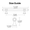 Alzassbg Champagne Bronze Cabinet Pulls and Handles 10 Pack, AL3087BRG