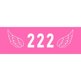 Angel 222 Sticker Large 3x9 Pink with Wings 222 Harmony Balance Trust Growth