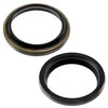 AERZETIX - C77090 - Set of 2 Simple Stripping Seals