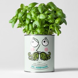 Herb Luxury Grow Kit, The Plant Gift Co. Mr Herbyhead Herbs, Gardening Gift; Basil, Chives & Mint