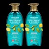 Elastin Organist Organist Peppermint Cooling Soothing Shampoo 500mlx2 / 오가니스트 페퍼민트 쿨링진정 샴푸 500mlx2개