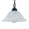 SHENGQINGTOP Traditional Plug in Pendant Light Fixture Alabaster Glass Shade,
