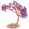 NOLITOY Realistic Amethyst Crystals Tree Natural Gemstone for Home Decor