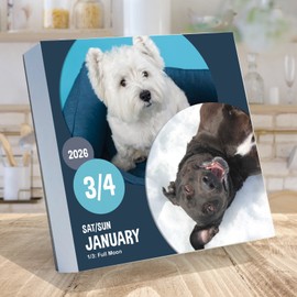 TF Publishing 2026 Dog A Day Daily Desktop Calendar