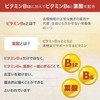Suncerite Sapporo Vitamin B12 + B6/Folic Acid (Sustained Release) 90