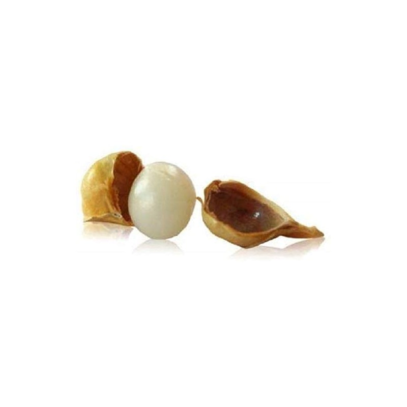 Finaldeals Organic Kashmiri Lehsun Single Clove Garlic 300 Gram