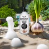 Redist Hair Care Shampoo Garlic 1000ml | Reducing Hair Loss