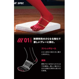 Tabio Baseball Five Finger Long Socks, 9.8 - 10.6 inches (25.0 - 27.0 cm), Made in Japan, Baseball Socks, Smooth