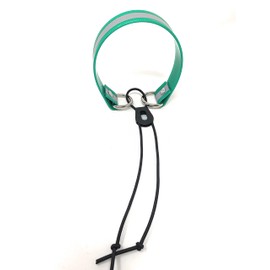 Sparky Pet Co - Surefit ECollar Replacement Strap - Bungee Dog Collar - Waterproof - Adjustable - Secure Nexus Wheel Lock - for Electronic Training & Invisible Fence Systems - 1" (Reflective Green)