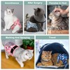 Reusable Cat Diapers 3 Pack with Good Absorbency Kitten Diapers