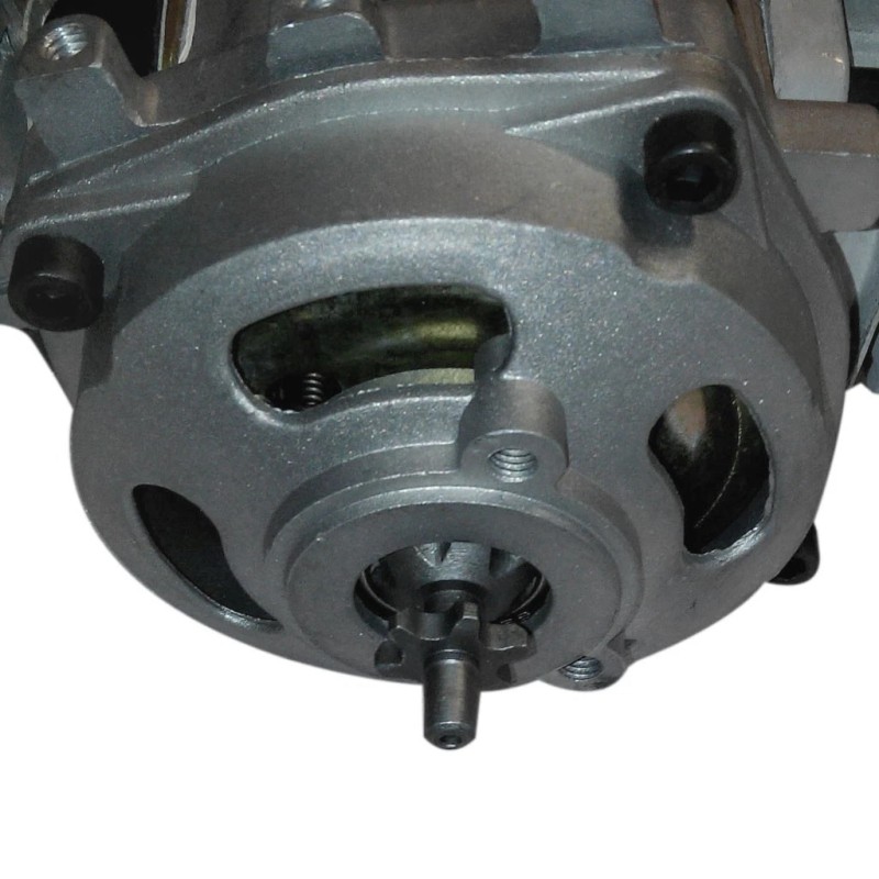 Does Not apply 49cc 2 stroke Pull Engine Motor +