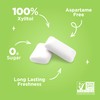 PUR Gum | Aspartame Free Chewing Gum | 100% Xylitol