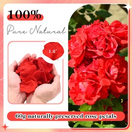 230 PCS Red Dired Rose Petals 2.1oz/60g Natural Real Rose Flower Petals for Wedding Aisle, Flower Girl Basket, Will You Marry Me, Valentines Day, Romantic Night, Proposal, Anniversary, Special Night