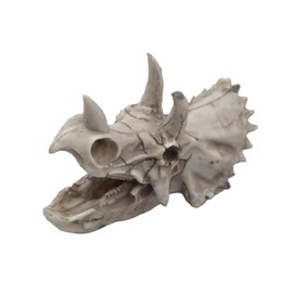 Piegricdiat Dinosaur Skull Aquarium Décor - Fish Tank Decoration Hideaway for Fish,Natural Look, 6.7"x4.1"x3.3" - Fun Underwater Environment (6.7")