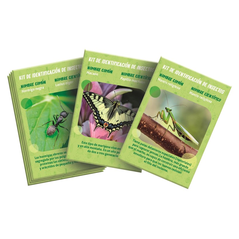 The House of Insects