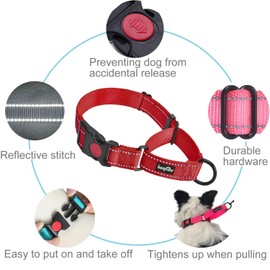 haapaw 2 Packs Martingale Dog Collar with Quick Release Buckle Reflective Dog Training Collars for Small Medium Large Dogs
