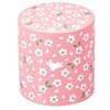 HAKOYA tea container Cherry Rabbit 56856