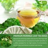 FreshDrinkUS, Premium 60 Moringa Leaf Tea Bags, 100% Natural &