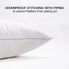 ANT-HOME 22"x22" Pillow Inserts Soft Feather Pillow Set of 2