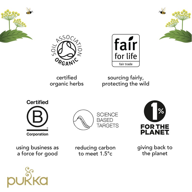 Pukka Herbs | Mint Matcha Green Organic Herbal Tea |