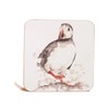 'The Coast' Puffin Watercolour Design Set of 4 Coasters