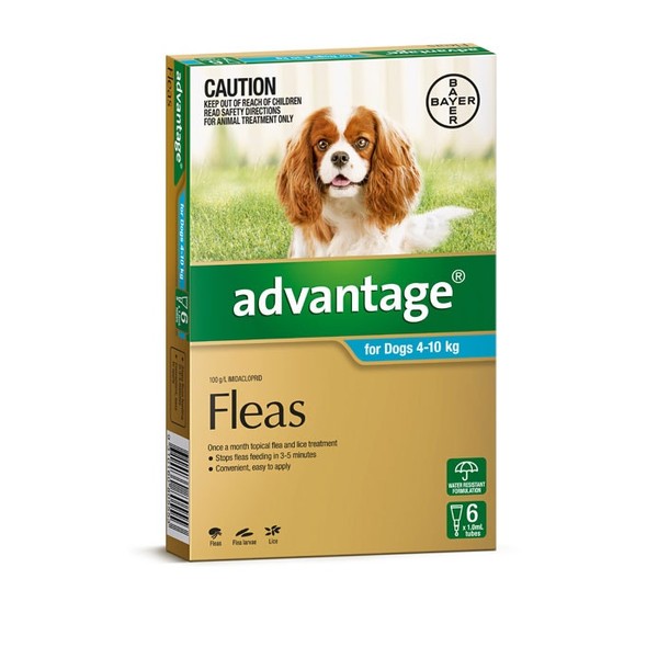Advantage For Medium Dogs (4-10kg)- 6 Pack