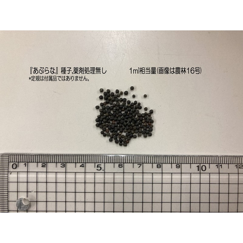 Fukkaen Seedlings, Oil Blotting Seeds, Value Pack, 0.3 gal (1