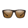 Smith Barra Sunglasses Matte Tortoise/ChromaPop Polarized Brown